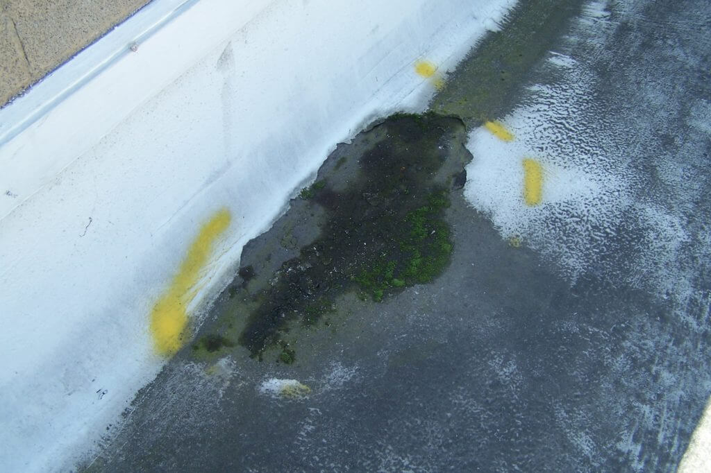 Emulsion Acrylic Elastomeric Roof Coating Systems 19