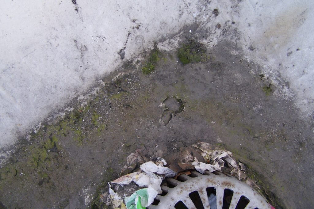 Emulsion Acrylic Elastomeric Roof Coating Systems 20