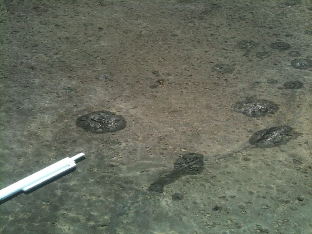 Emulsion Acrylic Elastomeric Roof Coating Systems 6